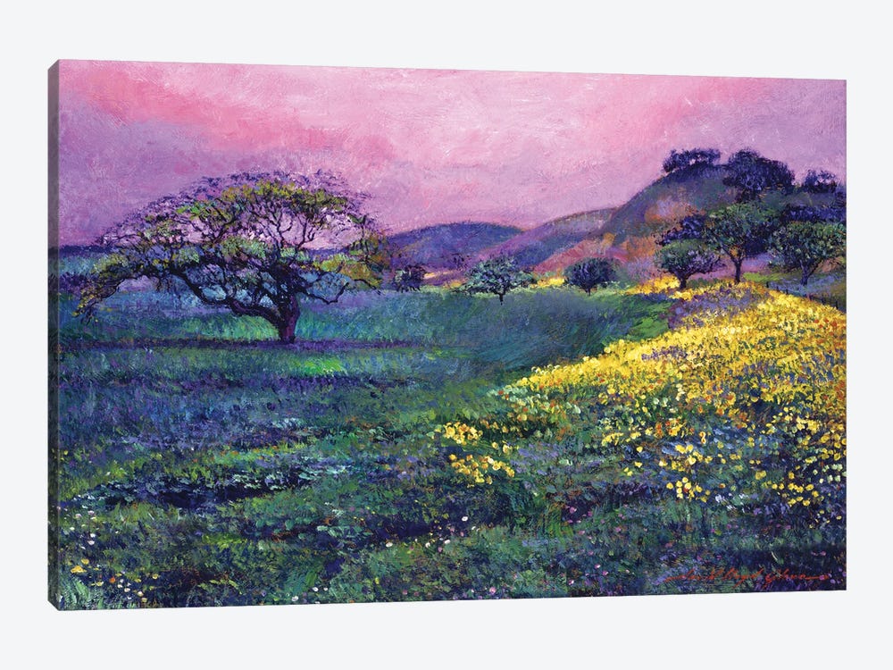 Wildflower Fields by David Lloyd Glover 1-piece Canvas Art