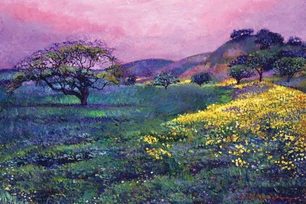 Wildflowers: Wildflower Fields by David Lloyd Glover