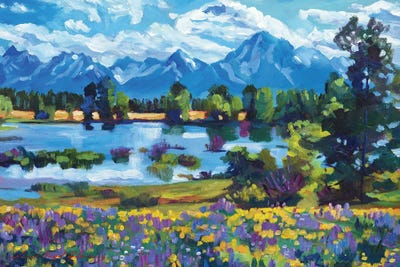 Wildflower Valley by David Lloyd Glover art print