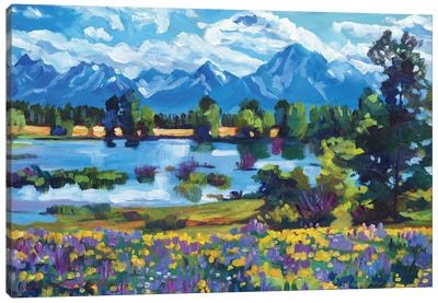Wildflower Valley Canvas Art Print - Valley Art