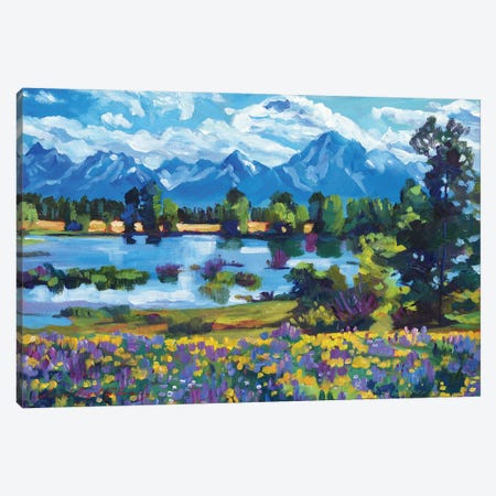 Wildflower Valley Canvas Print #DLG222} by David Lloyd Glover Canvas Art Print