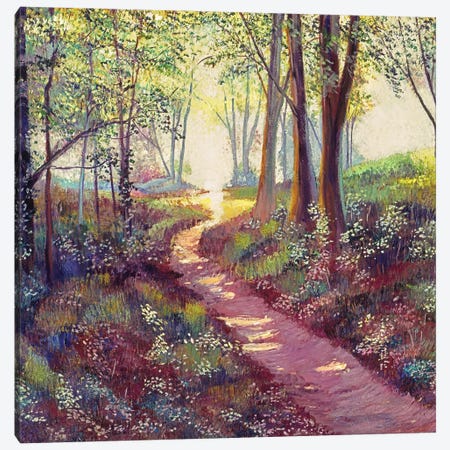 Wildflowers Along The Path Canvas Print #DLG223} by David Lloyd Glover Canvas Print