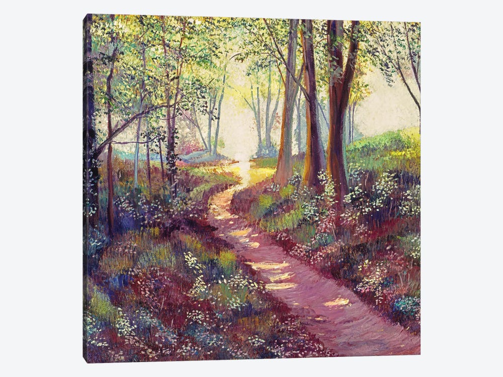 Wildflowers Along The Path by David Lloyd Glover 1-piece Art Print