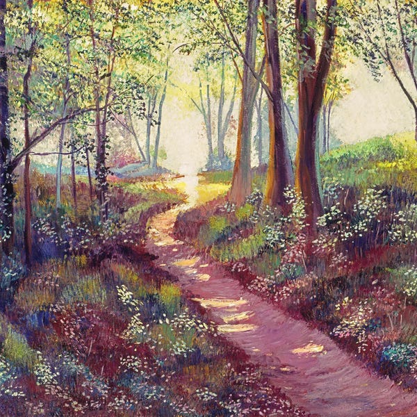 Wildflowers: Wildflowers Along The Path by David Lloyd Glover