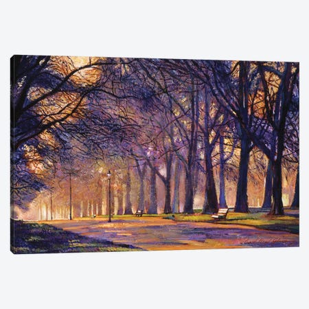Winter Evening In Central Park Canvas Print #DLG226} by David Lloyd Glover Canvas Art