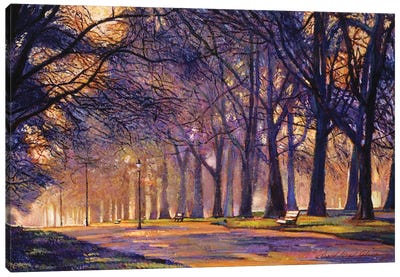 Winter Evening In Central Park Canvas Art Print - David Lloyd Glover