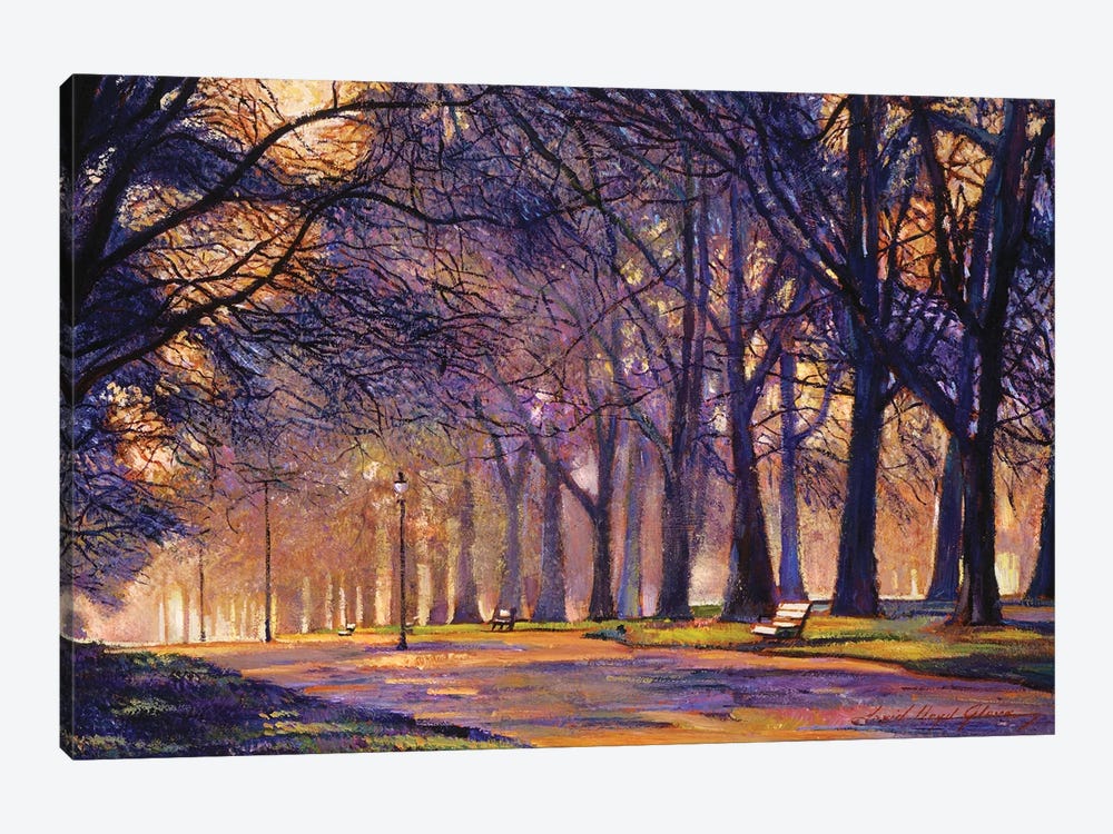 Winter Evening In Central Park by David Lloyd Glover 1-piece Canvas Artwork