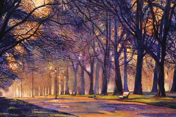 Central Park: Winter Evening In Central Park by David Lloyd Glover