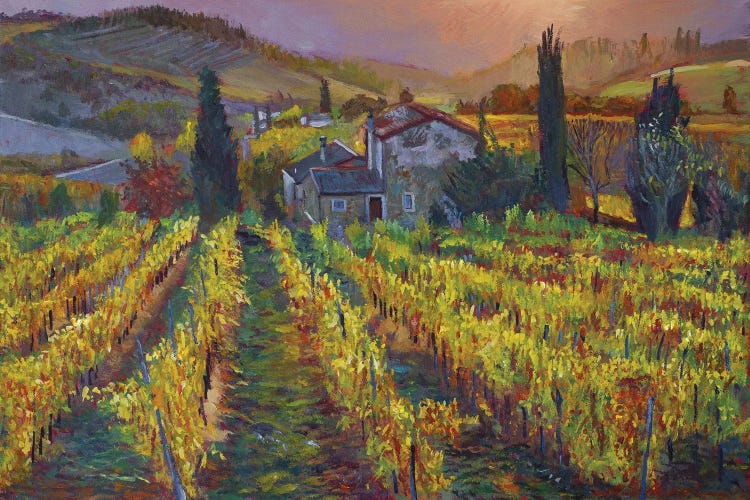 Tuscan Vineyard Harvest