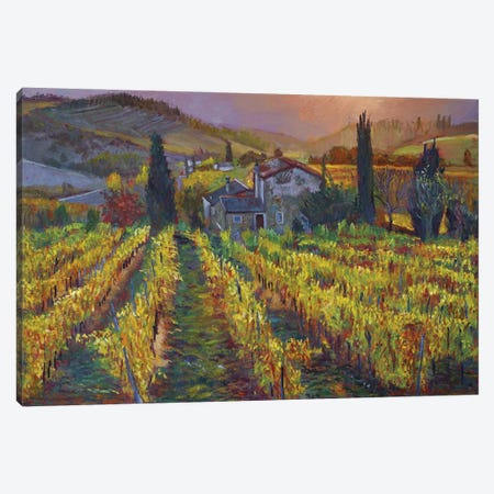 Tuscan Vineyard Harvest Canvas Print #DLG232} by David Lloyd Glover Canvas Wall Art
