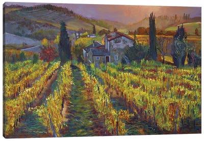 Tuscan Vineyard Harvest Canvas Art Print - Vineyard Art