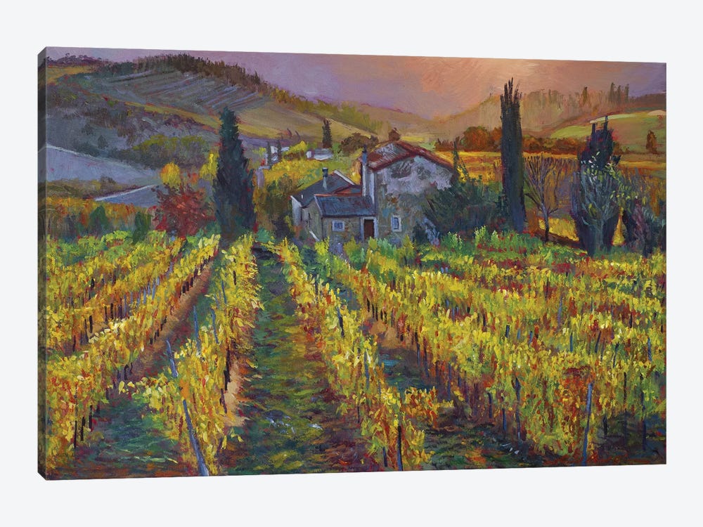 Tuscan Vineyard Harvest by David Lloyd Glover 1-piece Canvas Print