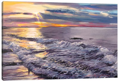 Zuma Beach Shoreline Canvas Art Print - David Lloyd Glover