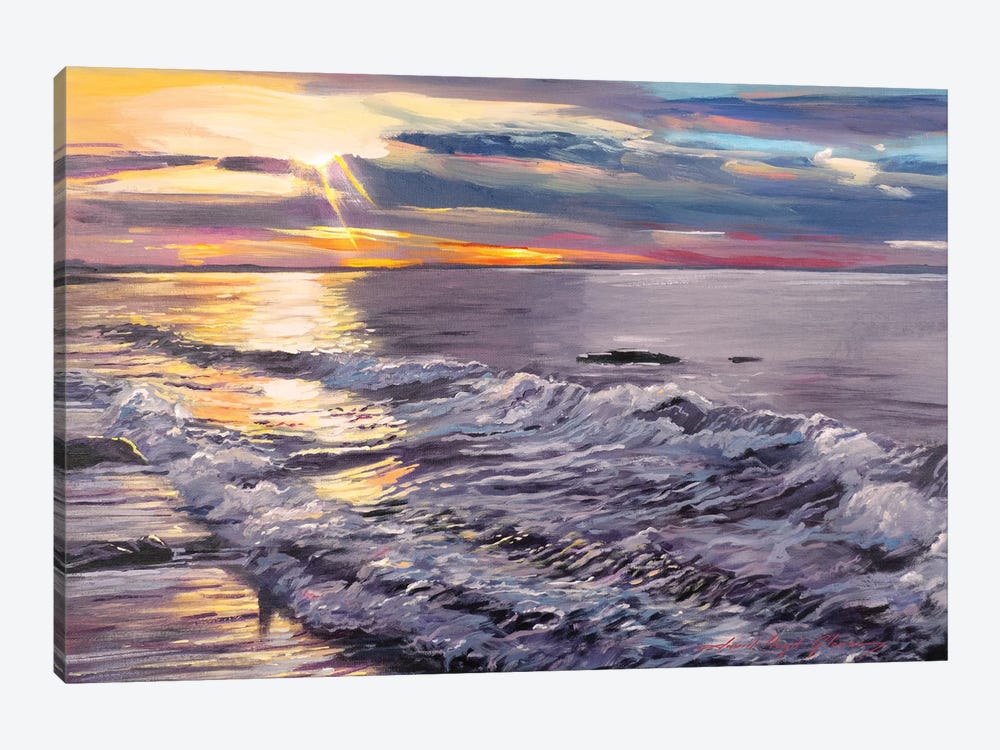 Zuma Beach Shoreline by David Lloyd Glover 1-piece Canvas Print