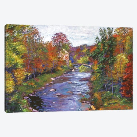 Autumn River Canvas Print #DLG23} by David Lloyd Glover Canvas Artwork