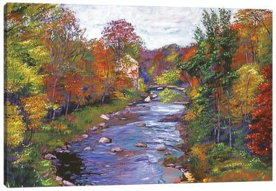Autumn River Canvas Art Print - David Lloyd Glover