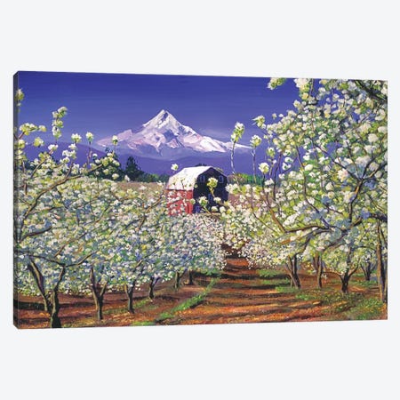 Apple Blossom Time Canvas Print #DLG26} by David Lloyd Glover Art Print