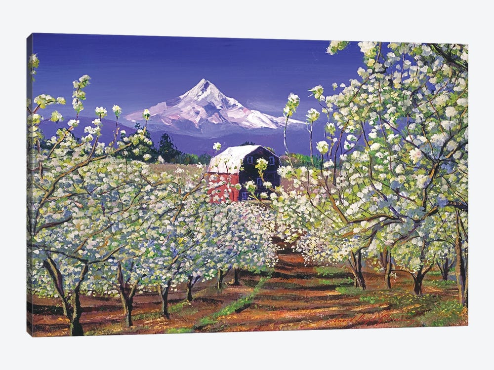 Apple Blossom Time by David Lloyd Glover 1-piece Canvas Print