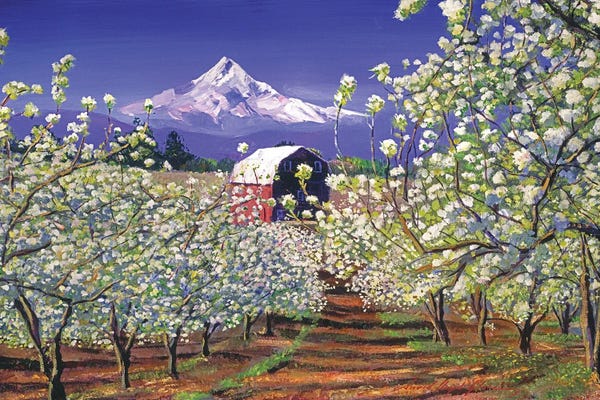 Apple Blossoms: Apple Blossom Time by David Lloyd Glover