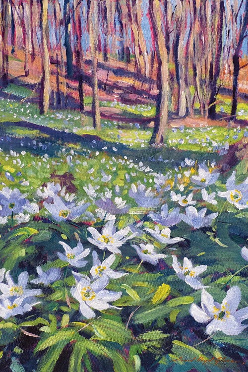 Anenomes In The Meadow by David Lloyd Glover wall art