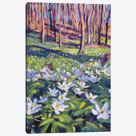 Anenomes In The Meadow Canvas Print #DLG27} by David Lloyd Glover Canvas Art Print