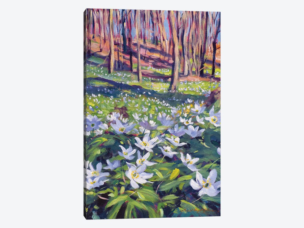 Anenomes In The Meadow by David Lloyd Glover 1-piece Canvas Art