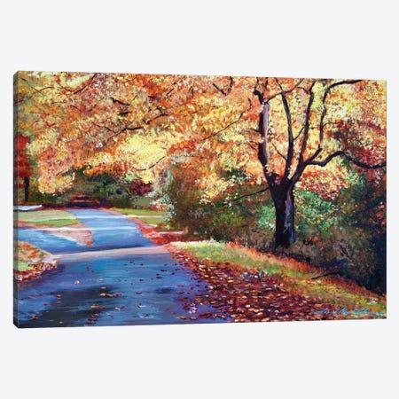 A Fork In The Road Canvas Print #DLG31} by David Lloyd Glover Canvas Print