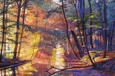 After The Rain by David Lloyd Glover framed wall art