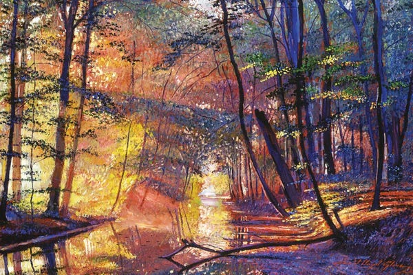 David Lloyd Glover: After The Rain by David Lloyd Glover