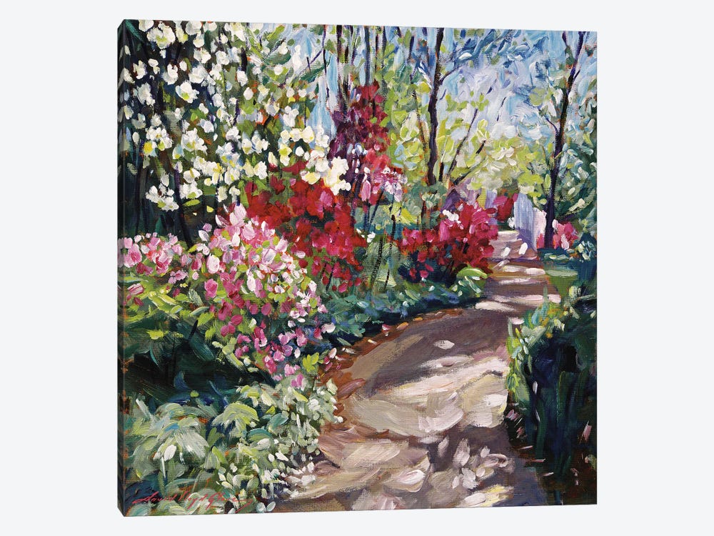 Along The Garden Path In Spring by David Lloyd Glover 1-piece Art Print