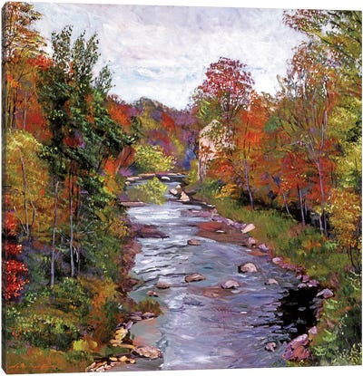 Autumn Days At The River Canvas Art Print - David Lloyd Glover