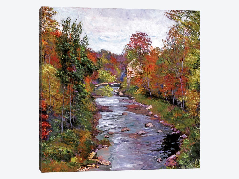 Autumn Days At The River by David Lloyd Glover 1-piece Canvas Artwork