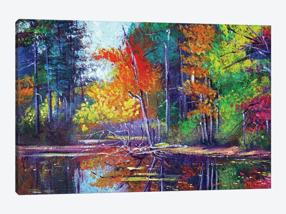 Autumn Reflects On The Pond by David Lloyd Glover 1-piece Canvas Wall Art