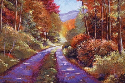 Country Roads by David Lloyd Glover canvas print