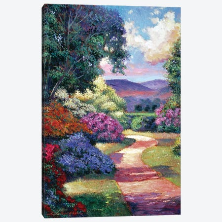 Azalea Spring Pathway Canvas Print #DLG51} by David Lloyd Glover Art Print