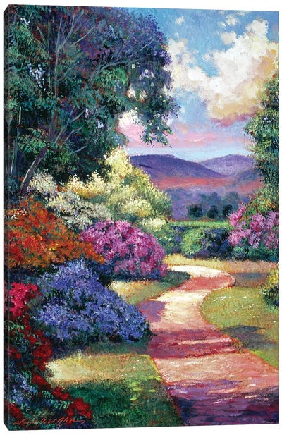 Azalea Spring Pathway Canvas Art Print - David Lloyd Glover