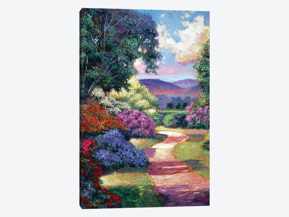 Azalea Spring Pathway by David Lloyd Glover 1-piece Canvas Print
