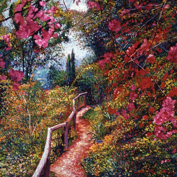 Tuscany Bougainvillea Trail