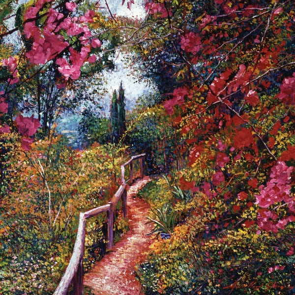 Bougainvillea: Tuscany Bougainvillea Trail by David Lloyd Glover