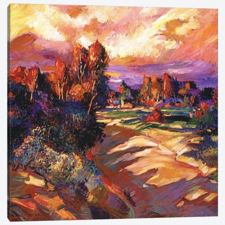 California Pastoral Sunset Canvas Print #DLG59} by David Lloyd Glover Canvas Art Print