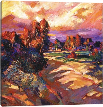California Pastoral Sunset Canvas Art Print - David Lloyd Glover
