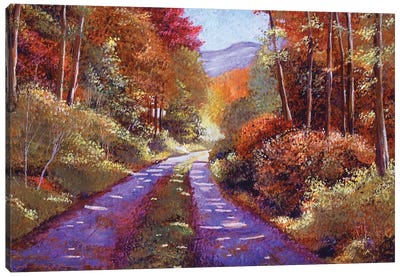Country Roads Canvas Art Print - David Lloyd Glover