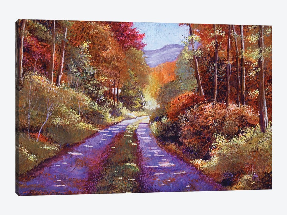 Country Roads by David Lloyd Glover 1-piece Art Print