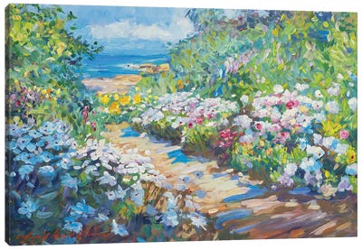 Carpenteria Beach Pathway Canvas Art Print - David Lloyd Glover