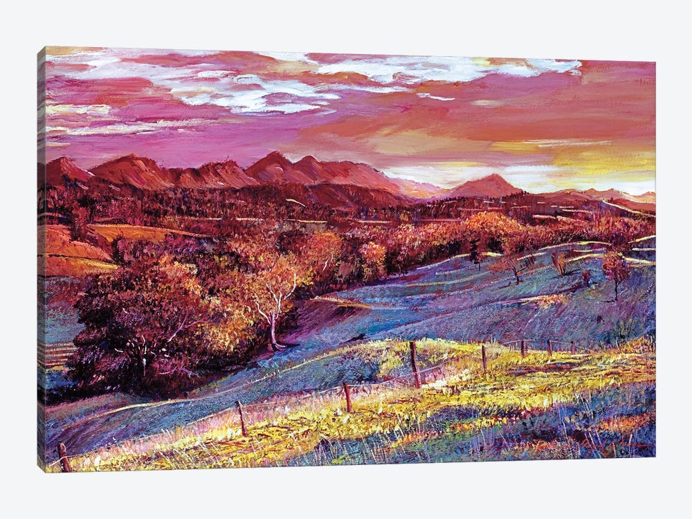 California Dreaming by David Lloyd Glover 1-piece Canvas Art