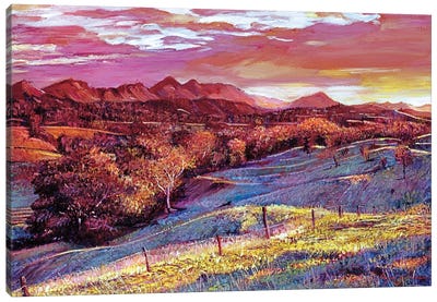 California Dreaming Canvas Art Print - David Lloyd Glover