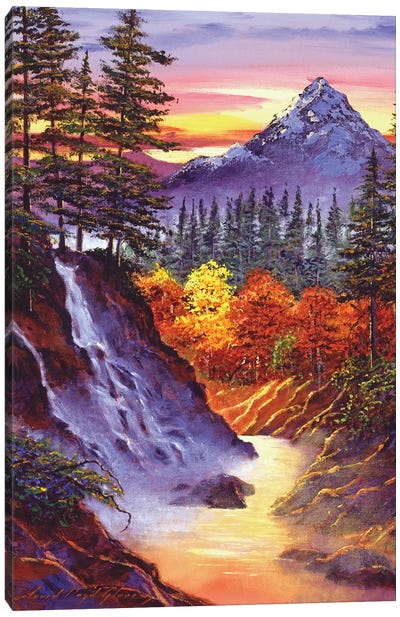 Deep Canyon Falls Canvas Art Print - David Lloyd Glover