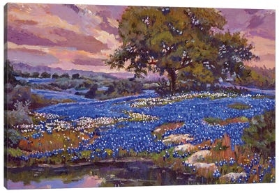 Evening Light Over Boerne Texas Canvas Art Print - David Lloyd Glover