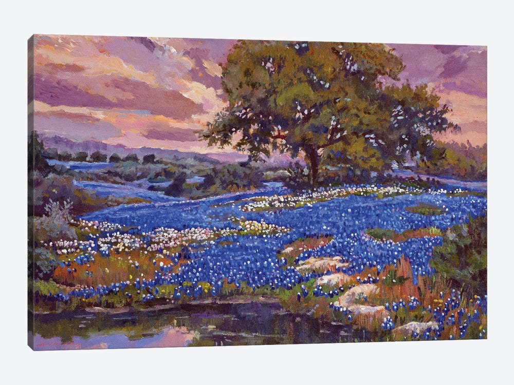 Evening Light Over Boerne Texas by David Lloyd Glover 1-piece Canvas Artwork