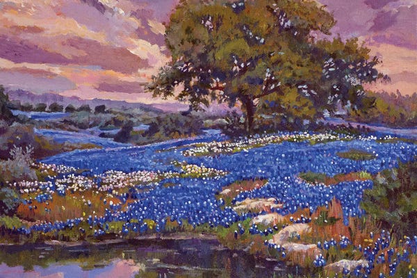 Traditional Living Room: Evening Light Over Boerne Texas by David Lloyd Glover